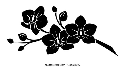 Black Silhouette Of Orchid Flowers. Vector Illustration.