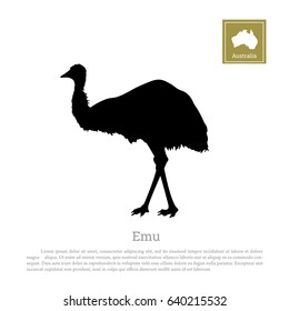 Black silhouette of ostrich emu on white background. Animal of Australia. Vector illustration