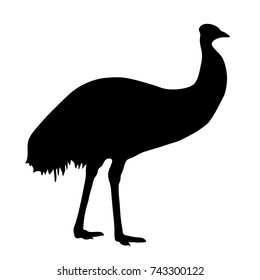 black silhouette of ostrich emu on white background of vector illustration