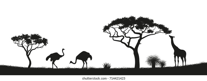 Black silhouette of ostrich, giraffe and trees in the savannah. Animals of Africa. African landscape. Panorama of wild nature. Vector illustration