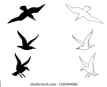 Black silhouette and outline seagulls. Isolated birds for coloring kids' book, decorative illustrations