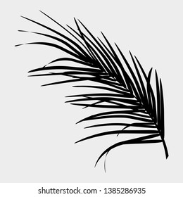 Black silhouette of palm leaf on white background. Isolated vector pattern.