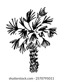 Black silhouette of a palm tree. Hand drawn vector simple drawing. Tropical nature, vegetation, plant.