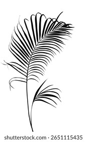 Silueta negra de palmera y hoja en estilo de Vector artístico sobre fondo blanco