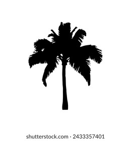 black silhouette a palm tree side view