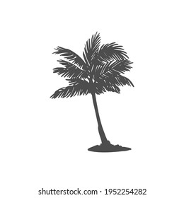 Black silhouette of a palm tree. Tropical leaves. Coconut palm, exotic lush sketch or hawaii coco palms. Vector illustration. For design of t-shirts, cards, invitations in retro style