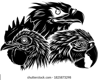 Schwarze Silhouette Papageienadler und Hahnenkopf, Vektorgrafik