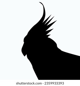 Black silhouette parrot little cockatoo . Corella . Exotic bird