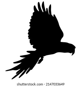 Black silhouette of a parrot on a white background. Vector image.