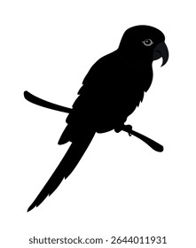 Black silhouette parrot on white background. Vector illustration