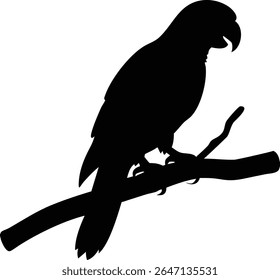 Black silhouette of a parrot perched on a branch perfect for graphic design elements