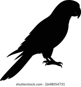 Silhueta preta de um papagaio empoleirado em um fundo branco. A ilustração destaca o bico curvo do papagaio, corpo emplumado e pés com garras em formato vetorial.