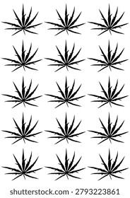 Black silhouette pattern of iodine plant leaves (Jatropha multifida) arranged repeatedly on a clean white background. Perfect for textile design, botanical wrapping paper, and herbal themed backdrops.