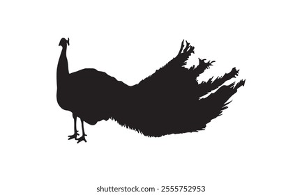 Black silhouette of a peacock with a long, flowing tail, standing gracefully against a white background, symbolizing beauty and elegance.