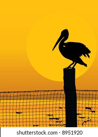 Black silhouette of a pelican against a sunrise/sunset