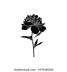 Black silhouette of peony flower on white background. Graphic drawing. Vector illustration.