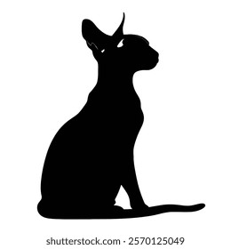 Black silhouette of a Peterbald