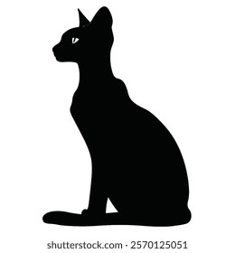 Black silhouette of a Peterbald