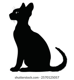 Black silhouette of a Peterbald