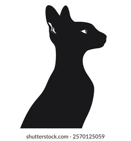 Black silhouette of a Peterbald