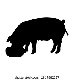 Black silhouette of a pig drinking water, showcasing the animals profile with a focus on its head and body posture.