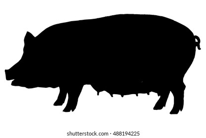 The black silhouette of a pig. Farm. The contour of the pig. Drawing.