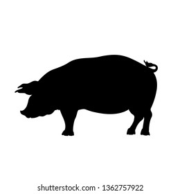 Black silhouette of pig. Isolated image of farm boar. Domestic animal icon. Isolated image. Butcher shop logo. Vector illustration