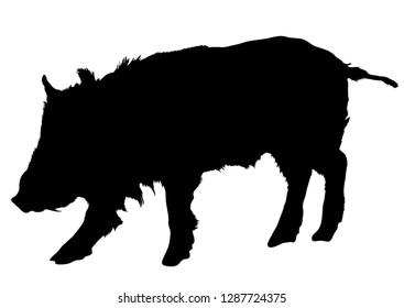 Black silhouette of a pig on a white background. Pig, farm.