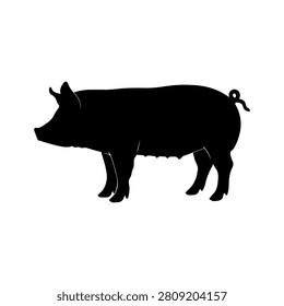 Black silhouette of a pig in profile, suitable for agricultural, farming, and animal husbandry contexts.