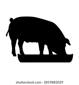 Black silhouette of a pig with a rounded body, snout, and tail, drinking water from a bowl, isolated on a plain background.