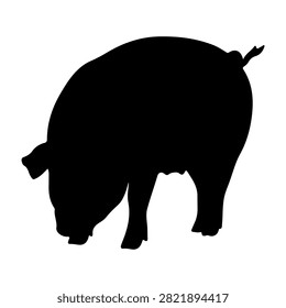 A black silhouette of a pig standing in profile, highlighting its shape and features against a plain white background.