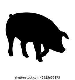 A black silhouette of a pig standing in profile, showcasing its distinctive shape and features, set against a plain white background.