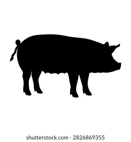 Black silhouette of a pig standing in profile, suitable for agricultural, farming, and animal husbandry contexts.