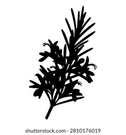 A black silhouette of a pine branch with needle leaves, isolated on a white background, highlighting natural botanical details and structure.