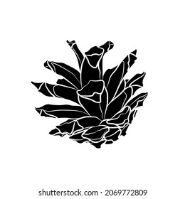 Silueta negra de un cono de pino sobre fondo blanco. Dibujo gráfico. Ilustración vectorial.