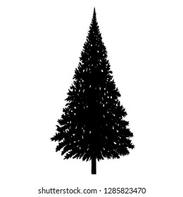 Black Silhouette of Pine Tree on White Background Vector illustration