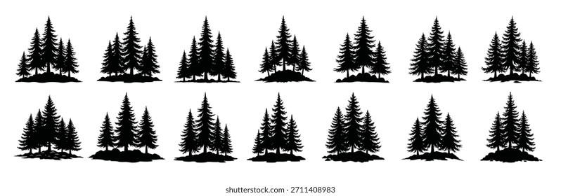 Black silhouette pine trees on white background evergreen