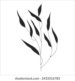 Black silhouette of a plant branch. Flower branch in outline style hand drawn on isolated white background. Vector stock illustration. Tropical leaves. Minimal line art for print, cover or tattoo. 