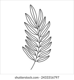 Black silhouette of a plant branch. Flower branch in outline style hand drawn on isolated white background. Vector stock illustration. Tropical leaves. Minimal line art for print, cover or tattoo. 