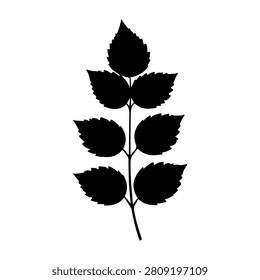 Black silhouette of a plant branch with multiple leaves on a white background, emphasizing natural botanical form and structure.