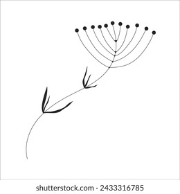 Black silhouette of a plant branch. Tropical leaves. Flower branch in outline style hand drawn on isolated white background. Vector stock illustration. Minimal line art for print, cover or tattoo.