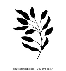 Black silhouette of a plant, isolated on a white background