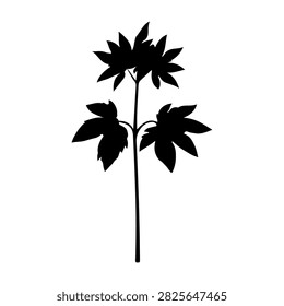 Black silhouette of a plant with multiple broad leaves on a white background, emphasizing natural form and structure.