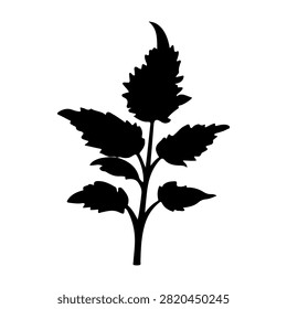 Black silhouette of a plant with multiple leaves and branches, isolated on a white background, emphasizing natural botanical structure.