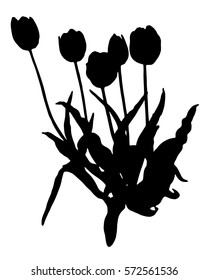 Black silhouette plants, flower on a white background. Tulip.
