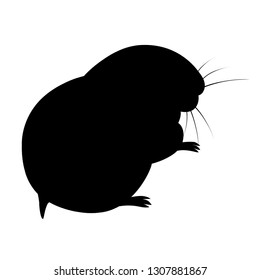 Black silhouette. Polar lemming with grey fur. Arctic animal, cartoon flat design. Vector illustration isolated on white background.