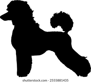 Black silhouette of a poodle dog isolated on a transparent background. Flat vector illustration