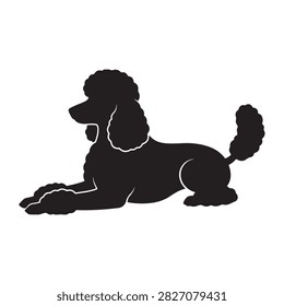 Black silhouette of a poodle lying down with a groomed curly coat, isolated vector illustration.