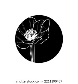 Black silhouette of poppy flower in black circle. Graphic drawing. Vector illustration.