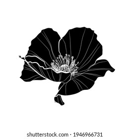 Black silhouette of poppy flower on white background. Vector illustration.